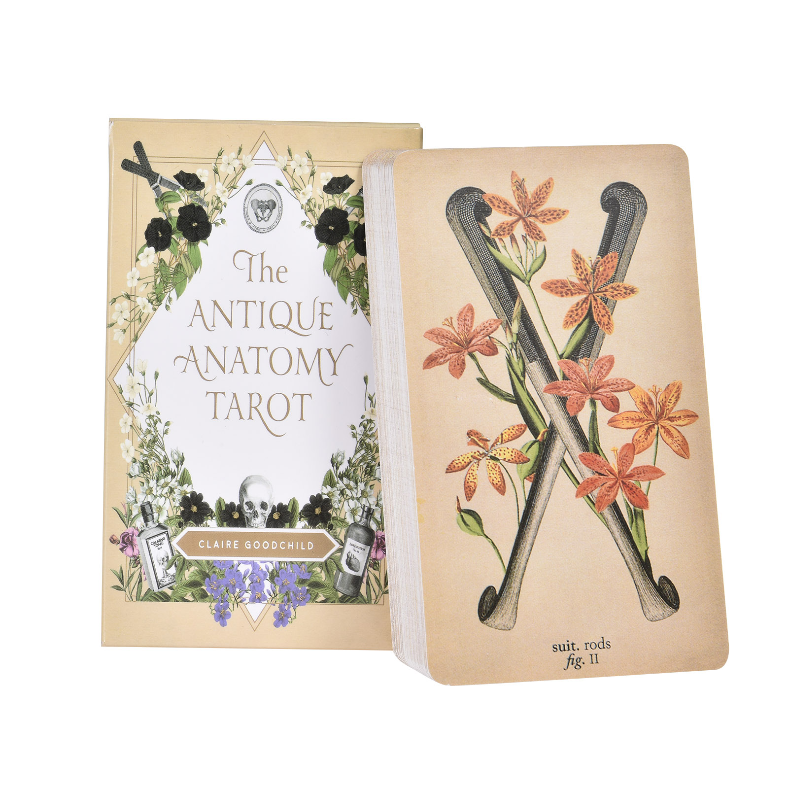 Board Game Pdf - Die antike Anatomie Tarot karten englische